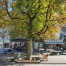 좋은세상노래연습장 이미지