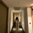 한길렌터카주 | [제주 급여행] 서귀포 히든클리프 호텔 앤 네이쳐 인피니티풀 추천 / 제주오성 통갈치해물조림 후기