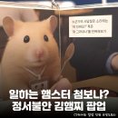 오늘도 출근햄니다> 정서불안 김햄찌 팝업스토어 정보 및 후기: 현장 웨이팅 대기 시간, 품절 굿즈...