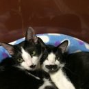 훌라당구장 이미지