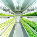 교훈농장 이미지