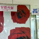 도리소반 | [임신 25주 차] 대구 미래 여성 병원 임신성 당뇨 검사 및 중기 정밀 초음파 후기 / 임당 검사 결과 정상