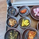 한수위 약초밥상 네이버블로그