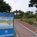 초록공원 농구장 이미지