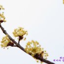 장원목장 이미지