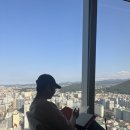 그랜드하얏트제주 | [제주] 노형동 그랜드하얏트 제주 룸서비스와 그랜드키친 조식뷔페 솔직후기