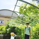 쏠라아기옷장 이미지