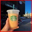 마음을 전달하는 연말 선물포장법 | 북미 스타벅스 텀블러, 센스있는 답례품으로 마음을 사로잡는 법!