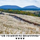 &#34;진짜 옛날 동네 그대로네&#34;... 시간 여행 할 수 있도록 도와주는 국내 촬영장 여행 이미지