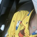 히포워시존 이미지