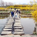 담양고등학교 이미지