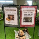 스포랜드 | 안산 극동스포랜드 방문 후기