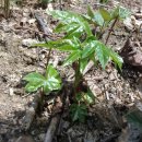 배순농장 이미지