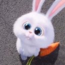 마이펫의 이중생활 이미지