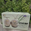 광주광역시농협쌀조합공동사업법인 | 여름날의 완벽한 디저트, 과즙 팡팡 터지는 굿뜨래 머스크 멜론 시식 리뷰!