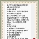 해남 꿀 고구마 모종심는시기와 도구