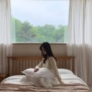 스테이캄드 이미지