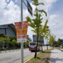 까페베네운천점 | [8월 여행]오빠랑 전라남도 광주 광역시 2박3일 호캉스 여행기-광주맛집, 광주 가볼만한 곳