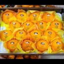 감동농장(2) 이미지