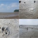 서도중학교 볼음분교 이미지