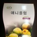 주식회사 플럼엔