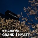 그랜드M타워앞 | 서울 연말호캉스 끝판왕｜그랜드하얏트 남산타워 뷰 · 조식 후기