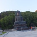 공룡의숨결 이미지