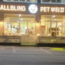 애견부티크 이미지