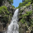 홍룡폭포(홍룡사) | 양산 가볼 만한 곳 홍룡폭포 홍룡사 방문 후기