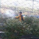 복이네 농장 이미지