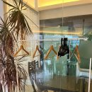 씨유울산태화점 | 울산 태화강국가정원 브런치 맛집 파르테르 내돈내산 후기