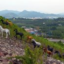 하얀울공원 이미지