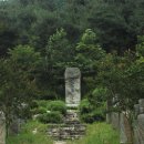 동동동심원 티스토리