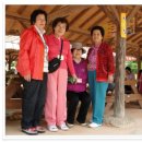 서구노인복지관(2) 이미지