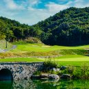 영동 일라이트CC 이미지