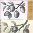 아트-아이 이미지