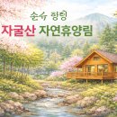 소나무숲속의하얀집 | 의령 자굴산 자연휴양림 예약 꿀팁과 숲속의 집 완벽 후기