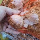 하나로마트 앞 (옥외1) 이미지