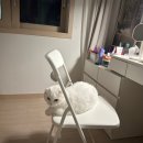 모동면 다목적광장 남자화장실 | 251102 더폴스 막콘 스탠딩 후기 | 명화라이브홀 입장 / 주차 / 그 외 이모저모고모