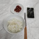 바디프로필 당일 후기(옐스튜디오/핑크파우더)
