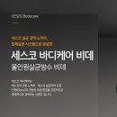 유로핏(FIT)