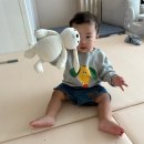 임소아과의원 | 복직 전 부지런히 움직여보는 하루(돌접종, 동탄소아과, 보보쇼즈, 카페 아스타나)