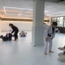 경산주짓수