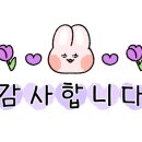 어도러블 멍이 이미지