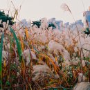 수채화로 그리는 세상 이미지