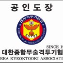 박상민무술학교 이미지