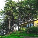 드래곤마운틴 이미지