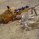 멋진강아지 이미지