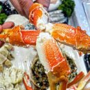 서핑크랩 | 양양 서핑크랩, 바다와 해산물이 춤추는 맛의 축제