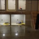 포포동물병원 이미지